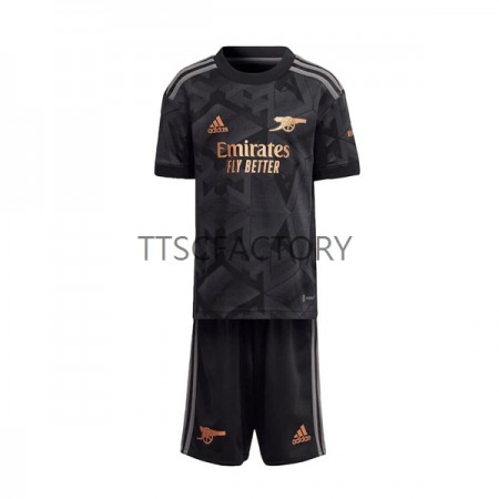 Fußballtrikots Arsenal Kinder 2022-2023 Kurzarm Auswärts-trikot kaufen